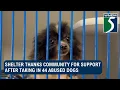 Genesee Co shelter thanks community for support after taking in 44 dogs