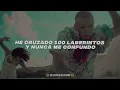 Calle 13 - Muerte En Hawaii (LETRA)