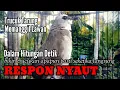 Download Lagu trucukan gacor TARUNG ROPEL pancing LAWAN  biar bunyi jadikan burung trucuk NYAUT GACOR