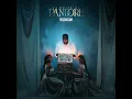 Pansement