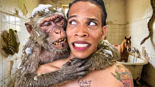 UN ZOOLÓGICO EN MI CASA 🐒🏡 | NP JEY
