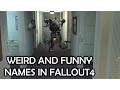 Fallout 4 - Weird and Funny names