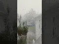 tropical Storm in Greenfield Ma