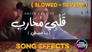 اغنية قلبي محارب                     دندنها