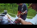 Download Lagu Atarrayo \u0026 Auka - Loro Psicodelico (Live)