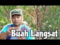 Lagu Aktiviti  Cuti Sekolah Hujung Tahun..Buah- buahan tidak seperti tahun lepas