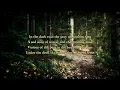 Wintersun - The Forest That Weeps (Summer) Official Lyric Video