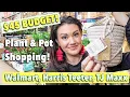 45 Budget Plant Shopping Walmart Harris Teeter TJMaxx Pot Houseplant Haul Charlotte NC