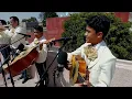 El Mariachi Alazán - Gema (Los Dandys)