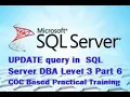 UPDATE query in SQL Server DBA Level 3 Part 6