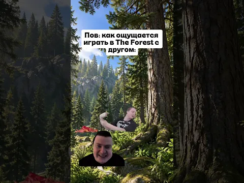 когда играешь в Forest с друном