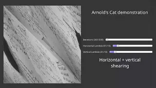 Arnold Cat