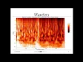 Financial Time Series Analysis using Wavelets Neural Networks