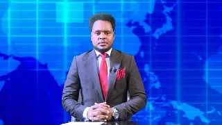 Warka Universal Tv 31 05 2026