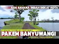 Lagu Ada Tempat Seindah ini di Pakem Banyuwangi! Menyusuri Indahnya Jalur Pakem Banyuwangi Menuju Savana!