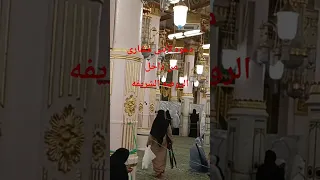 دعوه لأبنى Meshari 04 من داخل الروضهـالشريفه  دعوه لأبنى Meshari 04 من داخل الروضهـالشريفه