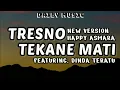 Download Lagu Tresno Tekane Mati | Happy Asmara ft Dinda Teratu [Lirik Lagu]