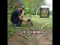 Download Lagu PIKAT MURAI KAMPUNG BORNEO TAPAU 2 EKOR DI LAMAN YG SAMA...