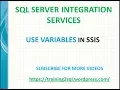 Variables in SSIS Use Variables in Execute SQL Task in SSIS