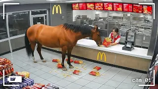 When Wild Animals Act Totally Weird