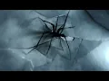 Emerge