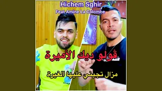 ڤولو ديك الأميرة 