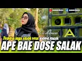 Download Lagu APE BAE DOSE SALAK - LAGU SASAK BIKIN BIKIN HATI SEDIH VERSI ALDEVA MUSIK VOCAL EVI MARIANI