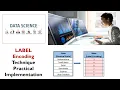 Label Encoding Encoding Techniques Practical Implementation Data Science datatechinfo