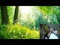 Download Lagu Harmonica Meditation: Walk on the Wild Side - Forest , Lee Oskar A natural minor harmonica