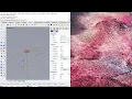 Grasshopper Tutorial Curve Operations
