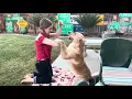 Dog Freestyle Routine to CrackerJack by Dolly Parton