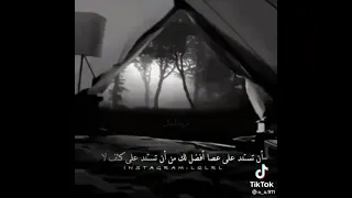 لو تلف الدنيا كلها مثلي ماتلقا 