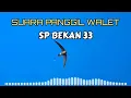 TERBARU ||SUARA PANGGIL WALET || SP BEKAN 33 || TERBARU || EDITOR EDIR