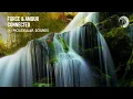 Force & Amour - Connected [Molekular Sounds] Extended