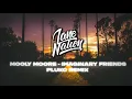 Molly Moore - Imaginary Friends (pluko remix)