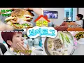 Download Lagu 한량의 집콕 브이로그~겠냐😱 집에서도 정신 없이 바쁜 일상 VLOGㅣ마켓컬리 인생빵 추천, 살림템, 요즘 피부 리즈인 사람의 스킨케어 추천🔥