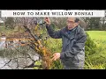 How To Make Willow Bonsai