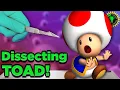 Game Theory You Are WRONG About Toad