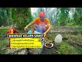 Download Lagu 1Olahan Nikmat Dari Brondolan Sawit | JEJAK SI GUNDUL (13/07/25)