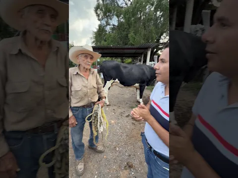 Cuantos litros de leche da la vaca de Don Canito