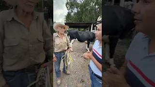 Cuantos litros de leche da la vaca de Don Canito