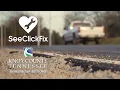 SeeClickFix app makes it easy to report road issues for repair in Knox County