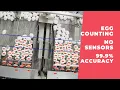 Egg Counter on Roller Accumulator Conveyor 1560 Eggs in 2 Minutes AI Vision