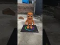 Download Lagu wow #tungtungtungsahur is stand DJ #shortsfeed #viral #viralvideo #trending #dj #cartoons