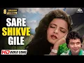 Lagu Saare Shikwe Gile Bhoola Ke | Azaad Desh Ke Gulam | Rishi Kapoor | Rekha | 90's Hit Hindi Songs