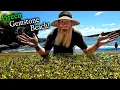 Download Lagu Why Are There 96,000,000 Green Gem Stones On This Beach!