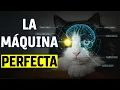 El Gato: La MÁQUINA PERFECTA de la Naturaleza (Documental)