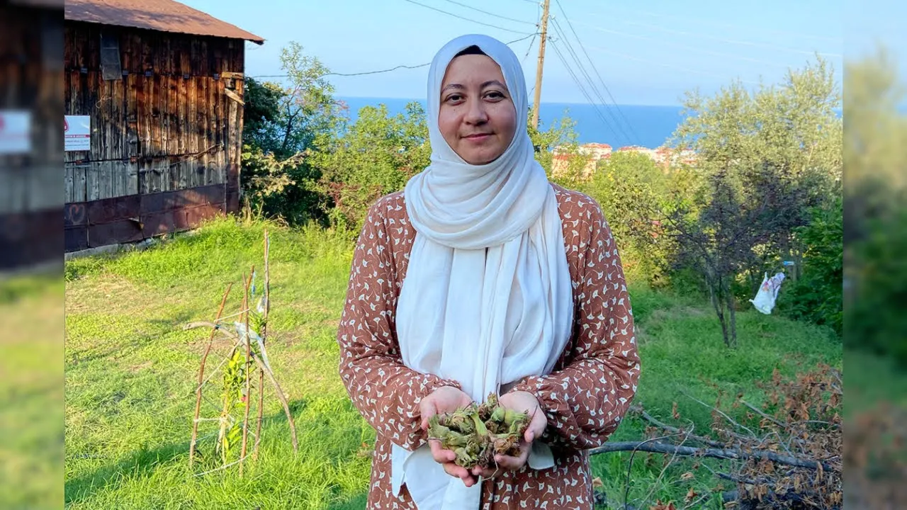 TRABZON BOAT TOUR   Hazelnut Orchards    Visit Trabzon