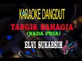 Download Lagu Karaoke Tangis Bahagia Nada Pria - Elvi Sukaesih (Karaoke Dangdut Tanpa Vocal)