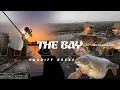 Lagu The Bay | Wild Carp Fishing for the Unknown | Jason Massay \u0026 Andrew Riste